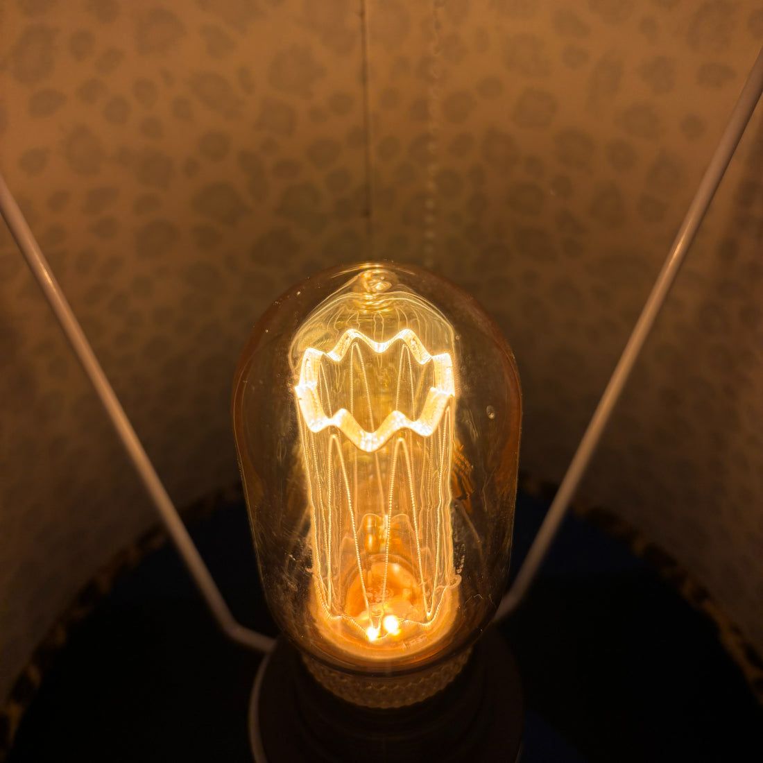 Deze transparante lichtbron voegt een vleugje verfijning toe aan je lamp. Perfect voor een sfeervolle uitstraling.