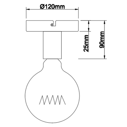 Ontdek de stoere zwarte plafondlamp uit de Basic serie. Perfect voor een industriële touch in elke ruimte.