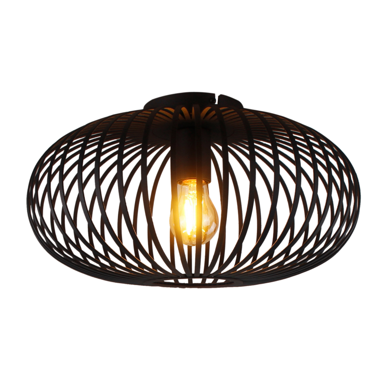 De Curvato plafondlamp in zwart biedt een robuuste uitstraling met een industrieel karakter. Perfect voor moderne ruimtes.