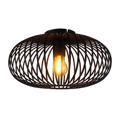 De Curvato plafondlamp in zwart biedt een robuuste uitstraling met een industrieel karakter. Perfect voor moderne ruimtes.
