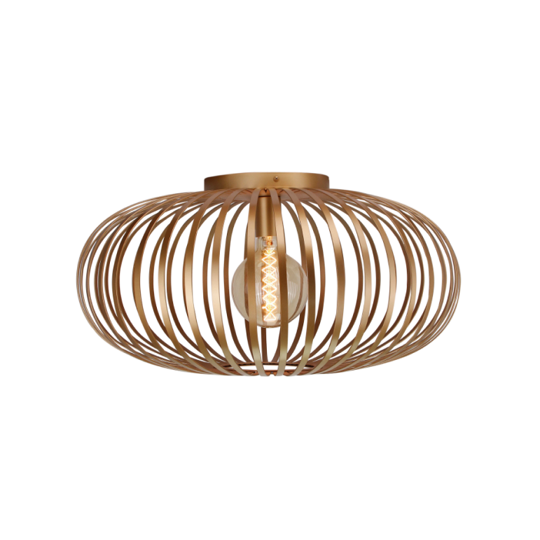Deze moderne plafondlamp in goud heeft een verfijnd ontwerp. Perfect voor een luxe uitstraling in jouw interieur.