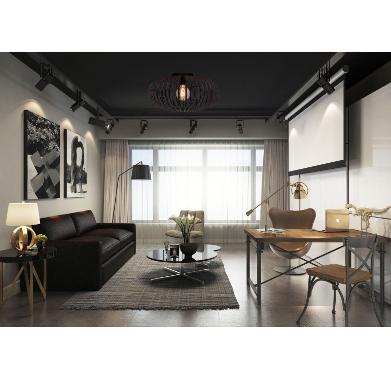Bijzondere zwart metalen plafondlamp Curvato met een industrieel design. Perfect voor een moderne en stijlvolle ambiance.