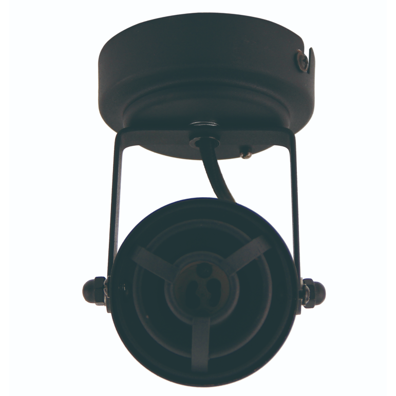 Een gedetailleerd beeld van de zwarte Industrie plafondlamp.