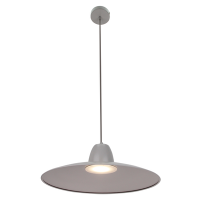 Industriële hanglamp Mantua in grijs met een verfijnde uitstraling. Perfect voor een moderne, stoere interieursetting.